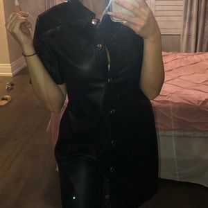 ZARA Leather Button-up Dress
